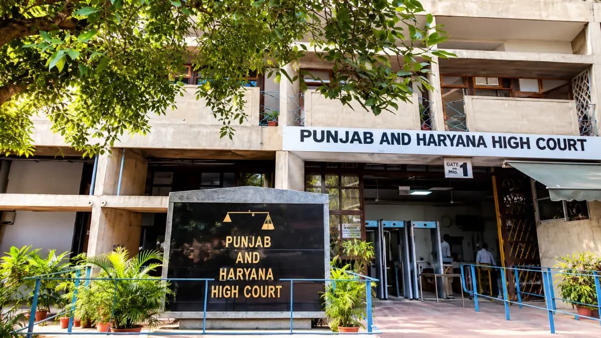 Bajwa Developers Chief Denied Bail in Rs 662 Crore Money Laundering Case
