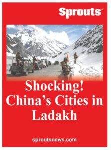 China Built Two Cities in Ladakh