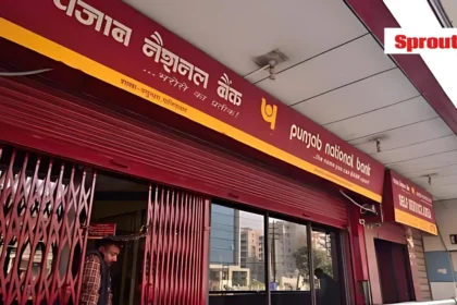 Money Laundering Probe in 60 Cr PNB Loan Fraud