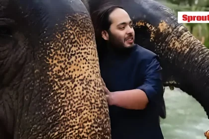 Vantara Wildlife Centre Faces SC-Ordered SIT Investigation.