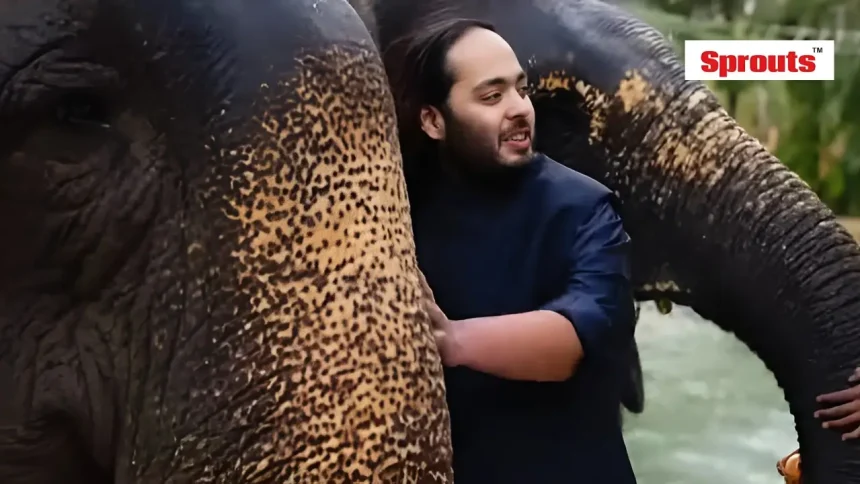 Vantara Wildlife Centre Faces SC-Ordered SIT Investigation.