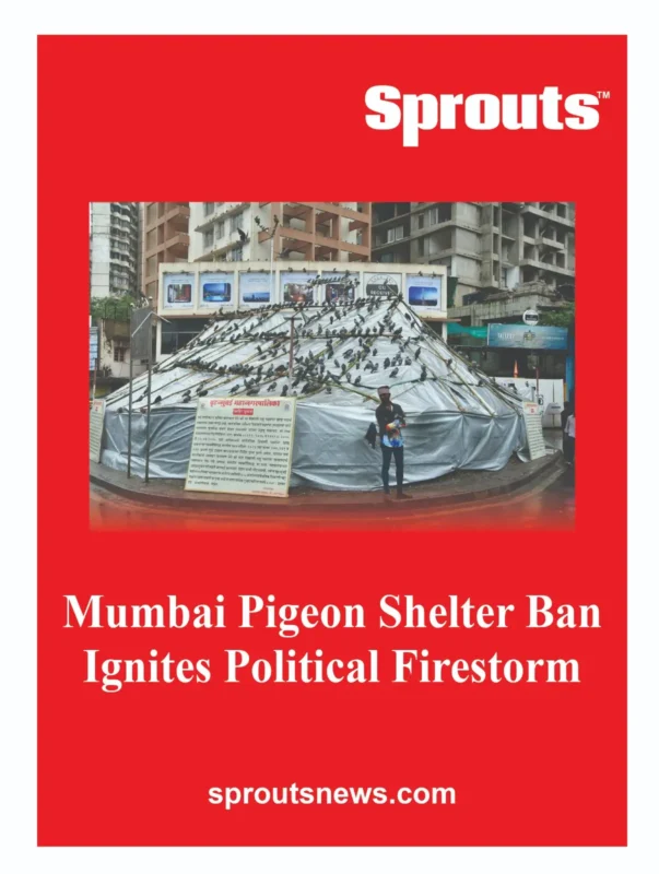 Mumbai Pigeon Shelter Ban Ignites Political Firestorm