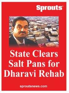 Stare clears Dharavi Redevelopment Project salt plan