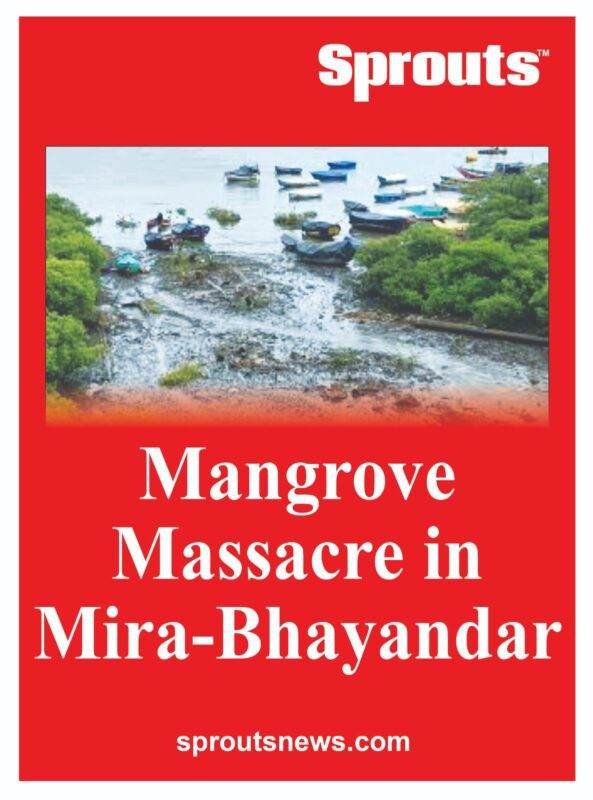 Mangrove Massacre in Mira-Bhayandar