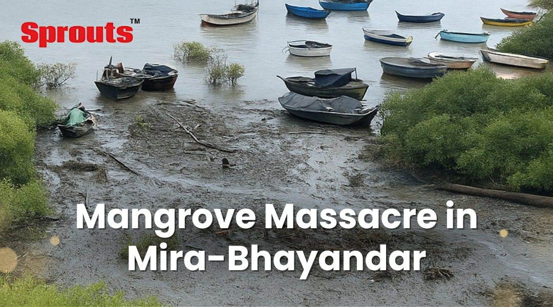 Mangrove Massacre in Mira-Bhayandar Builders Politicians Behind Green
