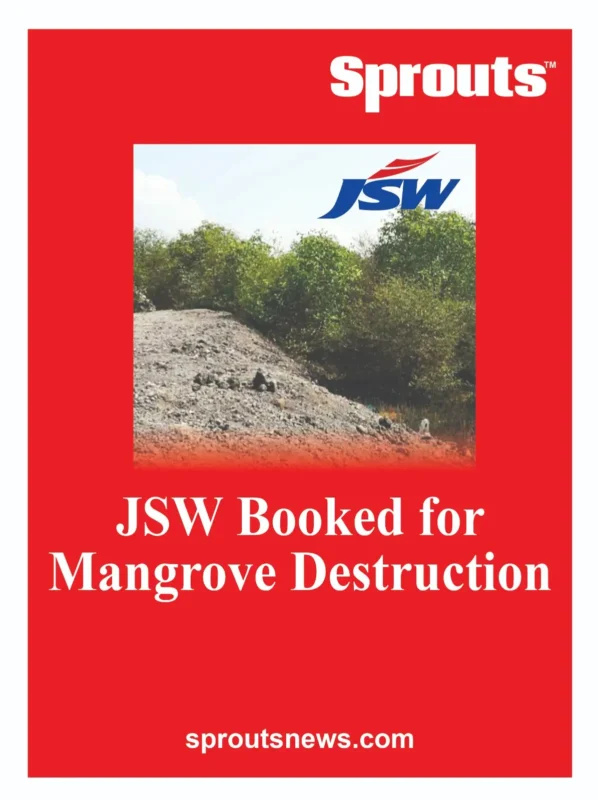 JSW Booked for Mangrove Destruction