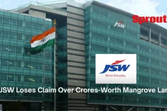 JSW Loses Claim on Mangrove Land Court Reclaims Crores