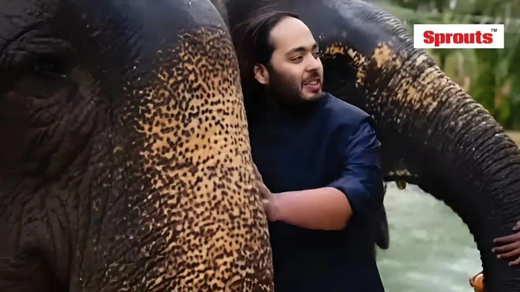 Vantara Wildlife Centre Faces SC-Ordered SIT Investigation.