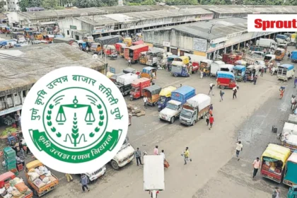 Pune APMC scam exposes ₹200 crore misappropriation through bogus licenses