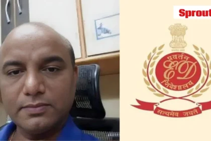 Enforcement Directorate raids linked to illegal catechu trade across Maharashtra.