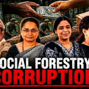Forestry Corruption allegations in the Thane Social Forestry Department.