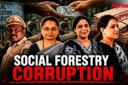 Forestry Corruption allegations in the Thane Social Forestry Department.