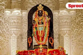 Ram Mandir Donation Audit Report Raises Fresh Questions.